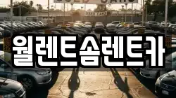 월렌트솜렌트카