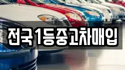 전국1등중고차매입