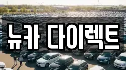 뉴카 다이렉트