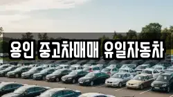 용인 중고차매매 유일자동차