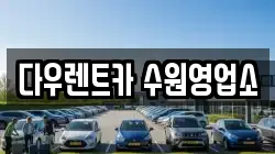다우렌트카 수원영업소