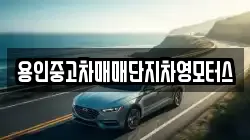용인중고차매매단지차영모터스