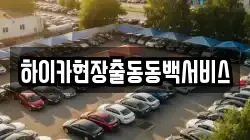 하이카현장출동동백서비스