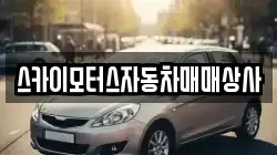 스카이모터스자동차매매상사