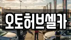 오토허브셀카