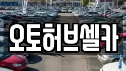 오토허브셀카