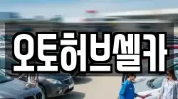 오토허브셀카