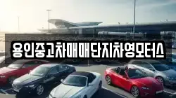 용인중고차매매단지차영모터스