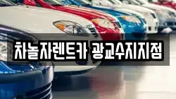 차놀자렌트카 광교수지지점