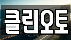 클린오토
