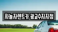 차놀자렌트카 광교수지지점