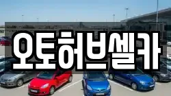 오토허브셀카