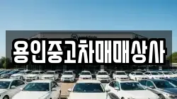 용인중고차매매상사