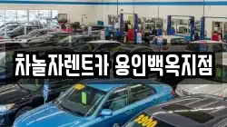 차놀자렌트카 용인백옥지점