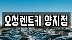 경기도 용인시 처인구 양지면 렌트카,단기렌트카,장기렌트카,중고차,중고차매매,중고차매입