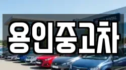 용인중고차