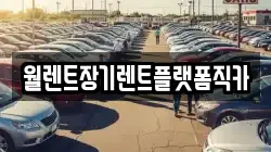 월렌트장기렌트플랫폼직카
