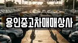 용인중고차매매상사