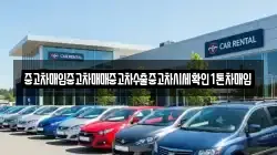 중고차매입중고차매매중고차수출중고차시세확인1톤차매입