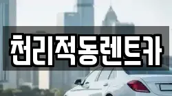 경기도 용인시 처인구 이동읍 렌트카,단기렌트카,장기렌트카,중고차,중고차매매,중고차매입