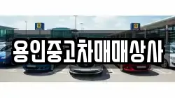 용인중고차매매상사