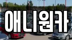 애니원카
