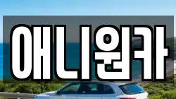 애니원카