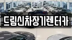 드림신차장기렌터카