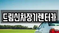 드림신차장기렌터카
