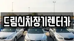 드림신차장기렌터카