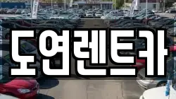 도연렌트카