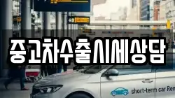 중고차수출시세상담