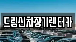 드림신차장기렌터카