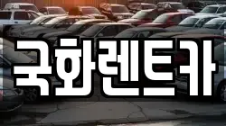 국화렌트카
