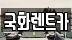국화렌트카