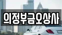 의정부금오상사