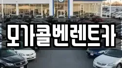 모가콜벤렌트카