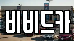 비비드카