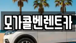 모가콜벤렌트카