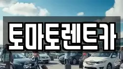 경기도 이천시 설성면 렌트카,단기렌트카,장기렌트카,중고차,중고차매매,중고차매입