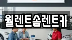 월렌트솜렌트카