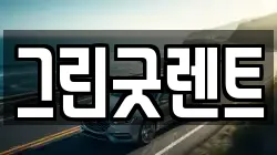 경기도 이천시 장호원읍 렌트카,단기렌트카,장기렌트카,중고차,중고차매매,중고차매입
