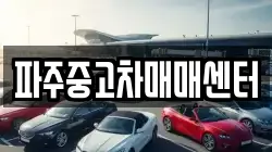 파주중고차매매센터
