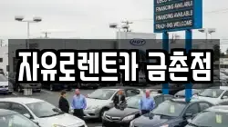 경기도 파주시 금릉동 렌트카,단기렌트카,장기렌트카,중고차,중고차매매,중고차매입