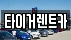 경기도 파주시 문산읍 렌트카,단기렌트카,장기렌트카,중고차,중고차매매,중고차매입