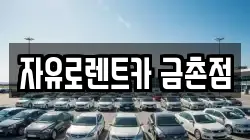 자유로렌트카 금촌점