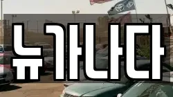 뉴가나다