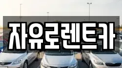 자유로렌트카