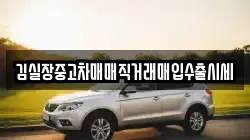 김실장중고차매매직거래매입수출시세