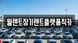 경기도 파주시 오도동 렌트카,단기렌트카,장기렌트카,중고차,중고차매매,중고차매입